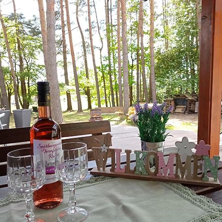 Ferienhaus Waldesruh In Idyllischer Lage, Erholung Pur Oppach Exteriör bild